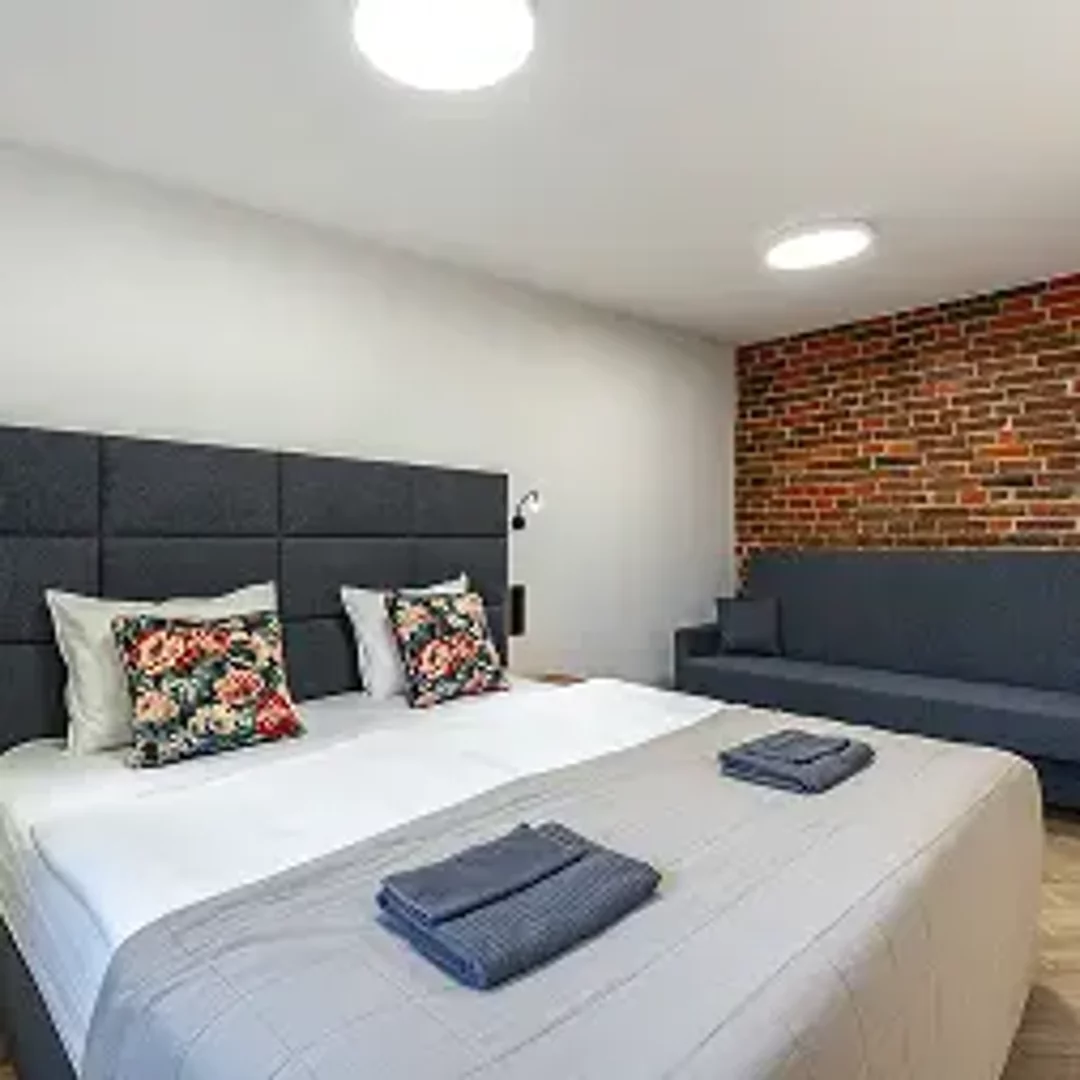 Apartament Classic z widokiem na miasto