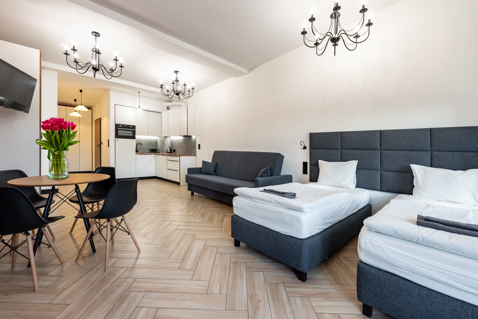 Deluxe apartment with city view